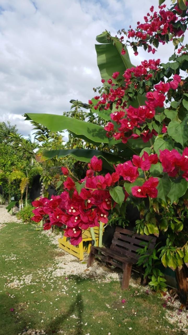 Casa De Campo Nerys San Juan de la Maguana Esterno foto